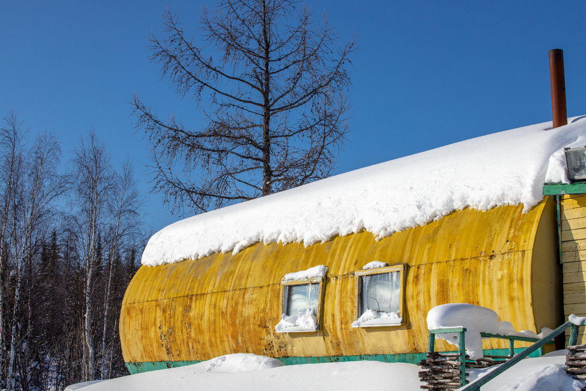 Фото: Фёдор Воронов/АНО "Ямал-Медиа"