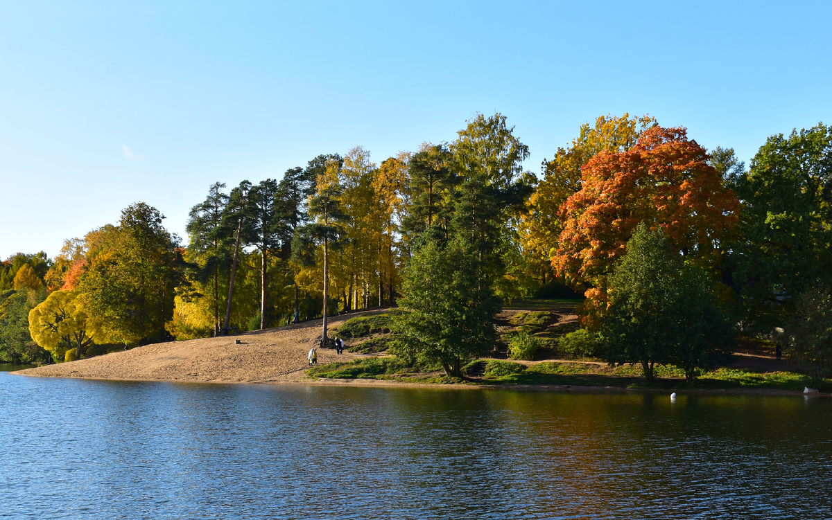 Берег Верхнего Суздальского озера