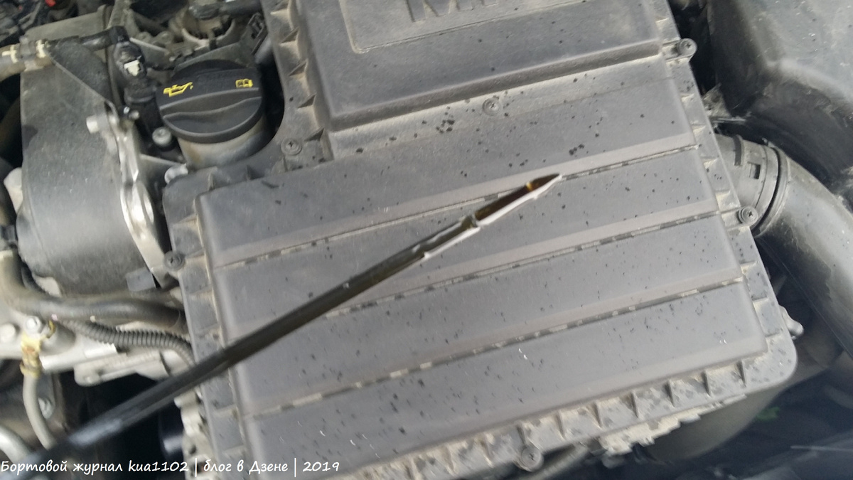 Двигатель 1.6 MPI CWVA EA211, который устанавливается на Volkswagen Polo Sedan. Автор фотографии kua1102