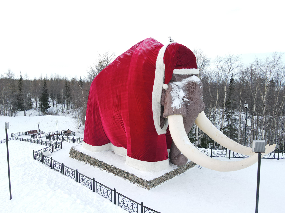 Фото: Diiaz Misbakhov/Shutterstock/Fotodom