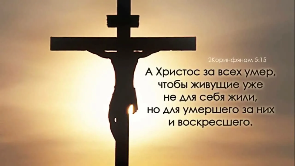 Картинка взята из общего и свободного доступа в интернет