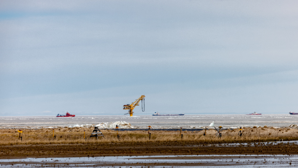 Фото: Зубков Сергей/АНО "Ямал-Медиа"