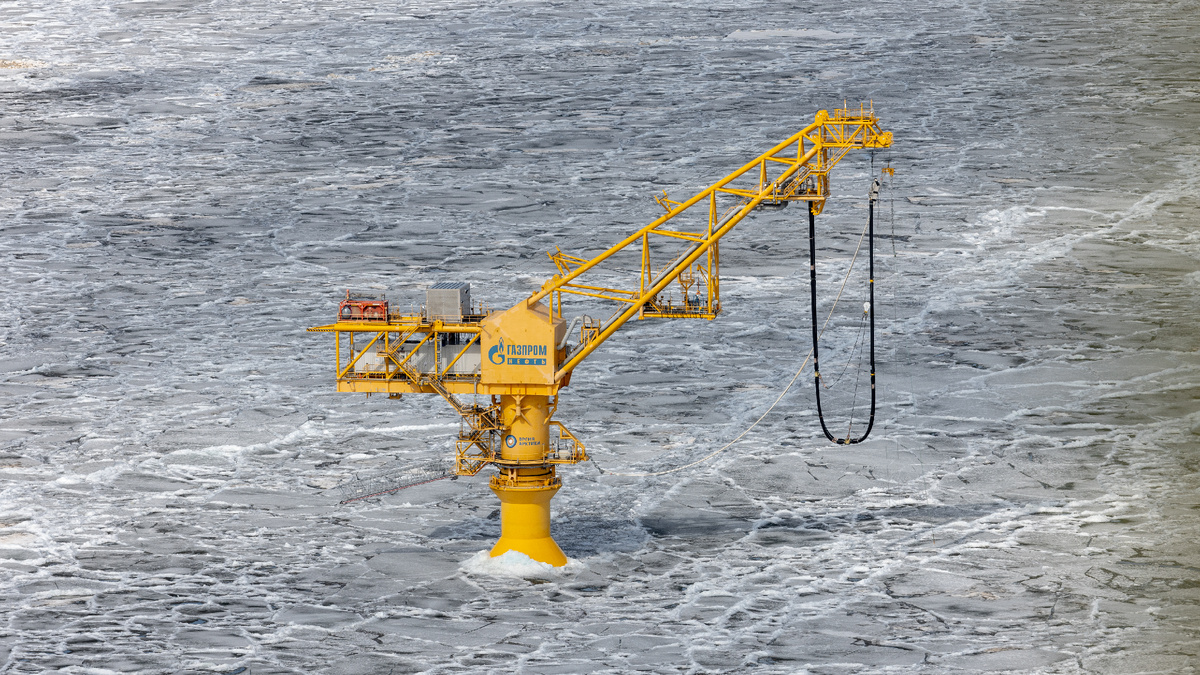 Фото: Зубков Сергей/АНО "Ямал-Медиа"