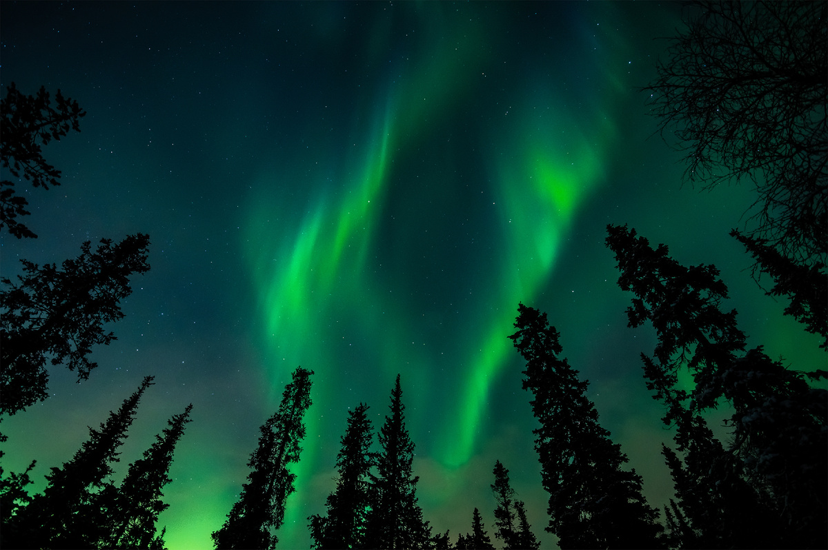 Фото: Kotomiti Okuma/Shutterstock/Fotodom