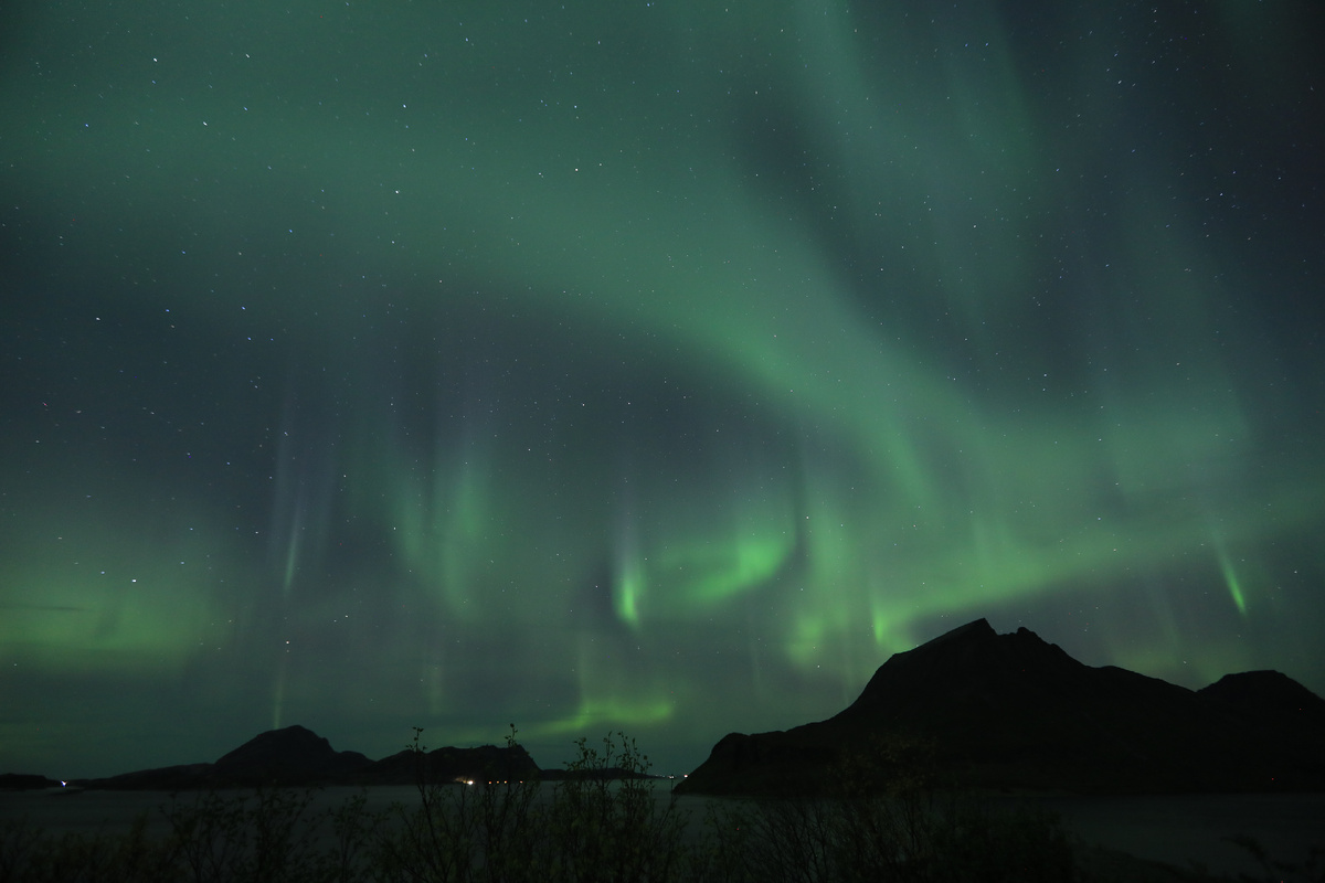 Фото: BoJe10/Shutterstock/Fotodom