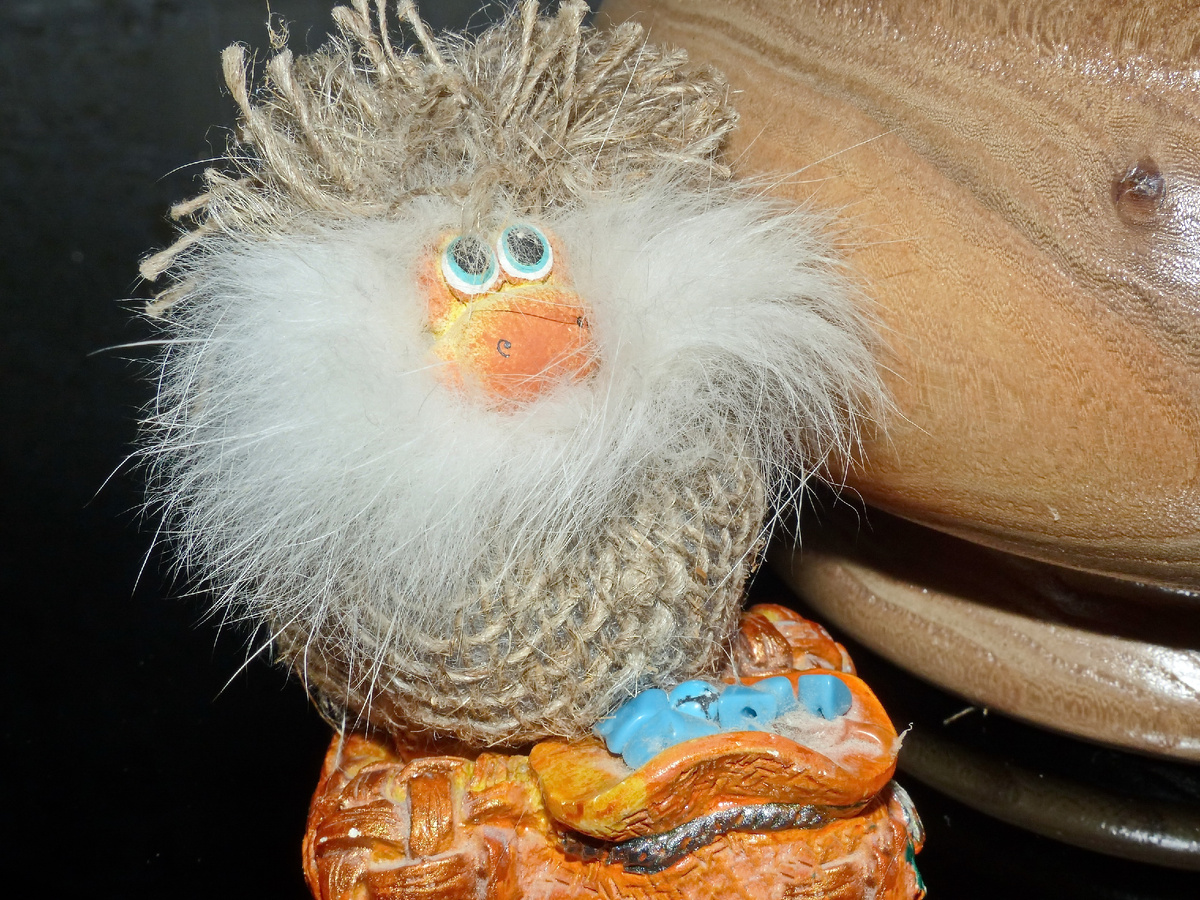 Фото: Nast Egle/Shutterstock/Fotodom