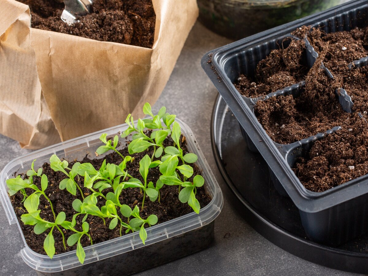 Фото: gulkevichi.com