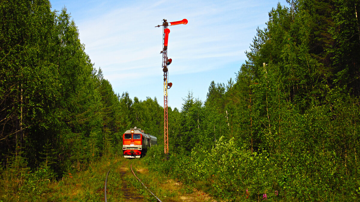 Все фото автора, если не указано иное.