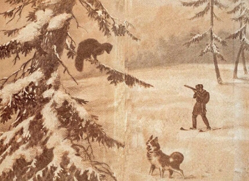 рисунок из книжки "справочник промысловика"