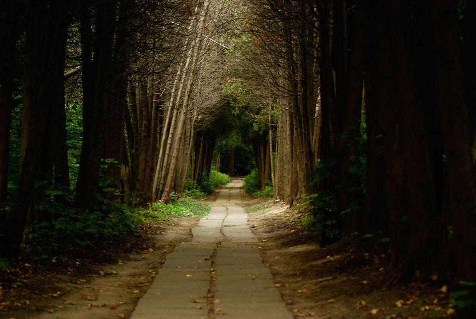 Нет выхода?