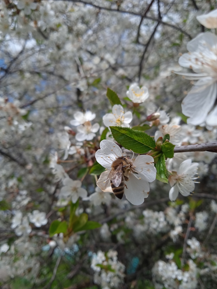 Фото из личного архива