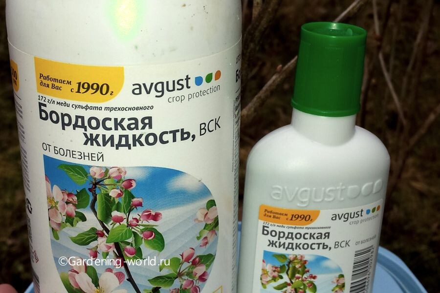 Бордоская жидкость используется рано весной: Весеннее голубое опрыскивание — классическая надёжная обработка сада