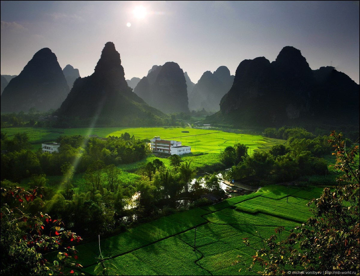 Картинка найдена на просторах интернета, ссылка https://yandex.ru/images/search?from=tabbar&img_url=https%3A%2F%2Fi.pinimg.com%2Foriginals%2Fa8%2F34%2F3f%2Fa8343f8123879b5e7bd53274cf0591a19.jpg&lr=47&pos=15&rpt=simage&text=%D1%86%D0%B2%D0%B5%D1%82%D1%8B%20%D0%BA%D1%80%D1%83%D0%BF%D0%BD%D0%BE%20%D1%84%D0%BE%D1%82%D0%BE