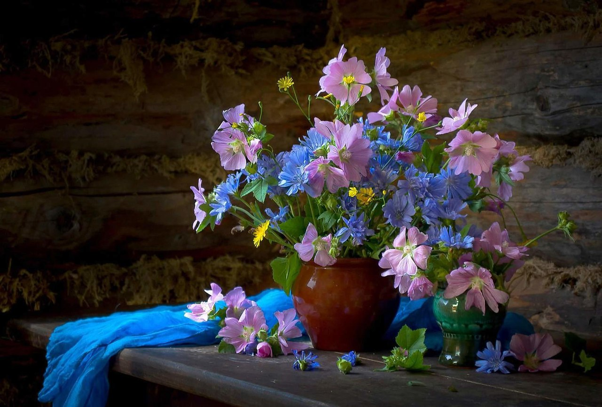 Картинка найдена на просторах интернета, ссылка: https://yandex.ru/images/search?from=tabbar&img_url=https%3A%2F%2Fdubabah.club%2Fuploads%2Fposts%2F2023-07%2F1690411465_dubabah-club-p-malvi-buket-vkontakte-11.jpg&lr=103814&p=1&pos=30&rpt=simage&text=%D0%BF%D0%BE%D0%BB%D0%B5%D0%B2%D1%8B%D0%B5%20%D1%86%D0%B2%D0%B5%D1%82%D1%8B%20%D0%BD%D0%B0%D1%82%D1%8E%D1%80%D0%BC%D0%BE%D1%80%D1%82%20%D1%84%D0%BE%D1%82%D0%BE%20%D0%BA%D1%80%D0%B0%D1%81%D0%B8%D0%B2%D1%8B%D0%B5%20%D0%BA%D1%80%D1%83%D0%BF%D0%BD%D1%8B%D0%BC%20%D0%BF%D0%BB%D0%B0%D0%BD%D0%BE%D0%BC