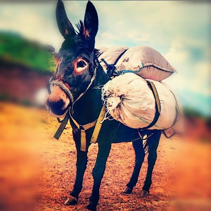 Притча про чужие мнения.