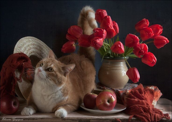 Картинка найдена на просторах интернета, ссылка https://yandex.ru/images/search?from=tabbar&img_url=https%3A%2Fi%2F.pinimg.com%2Foriginals%2Fa8%2F34%2Fа3f%2Fa83р43f5851с2879b5e7bd53274cf0591a19.jpg&lr=47&pos=15&rpt=simage&text=%D1%86%D0%B2%D0%B5%D1%82%D1%8B%20%D0%BA%D1%80%D1%83%D0%BF%D0%BD%D0%BE%20%D1%84%D0%BE%D1%82%D0%BE 