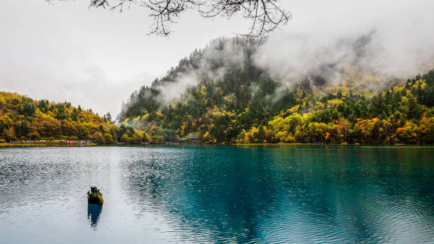 Картинка найдена на просторах интернета, ссылка https://yandex.ru/images/search?from=tabbar&img_url=https%3A%2Fi%2F.pinimg.com%2Foriginals%2Fa8%2F34%2Fа3f%2Fa83р43f8251с2879b5e7bd53274cf0591a19.jpg&lr=47&pos=15&rpt=simage&text=%D1%86%D0%B2%D0%B5%D1%82%D1%8B%20%D0%BA%D1%80%D1%83%D0%BF%D0%BD%D0%BE%20%D1%84%D0%BE%D1%82%D0%BE 