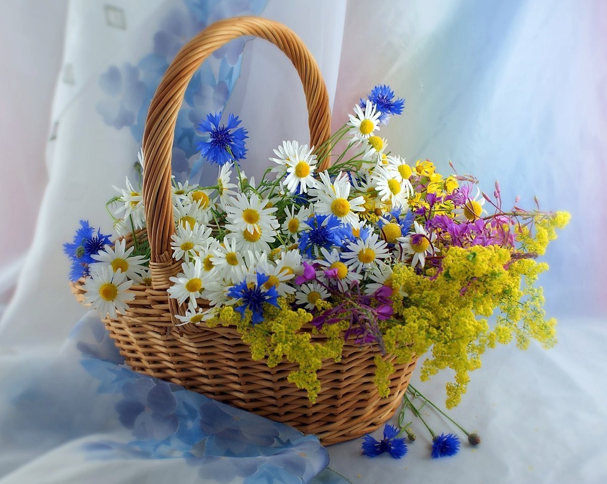 Картинка найдена на просторах интернета, ссылка https://yandex.ru/images/search?from=tabbar&img_url=https%3A%2F%2Fi.pinimg.com%2Foriginals%2Fa8%2F34%2F3f%2Fa8343f812879b5e7bd53274cf0591a19.jpg&lr=47&pos=15&rpt=simage&text=%D1%86%D0%B2%D0%B5%D1%82%D1%8B%20%D0%BA%D1%80%D1%83%D0%BF%D0%BD%DА0%BE%20%D1%84%D0%BE%D1%82%D0%BE