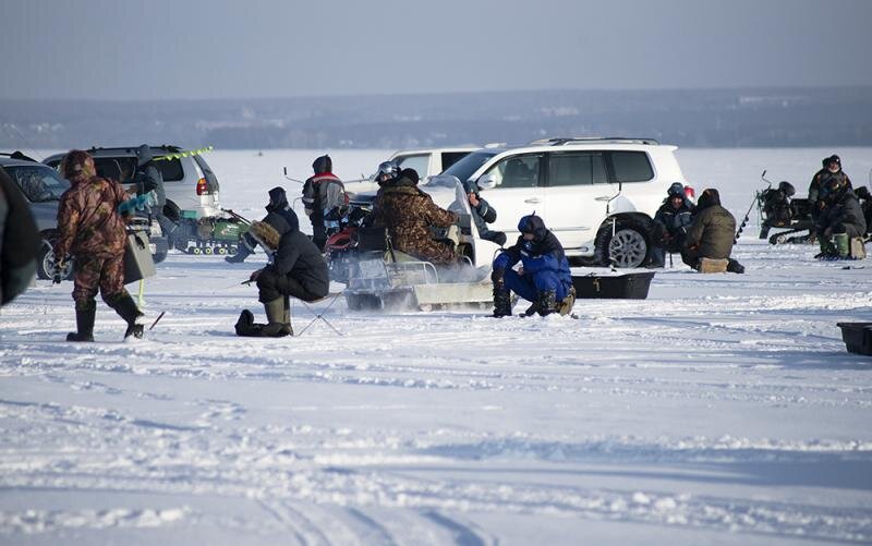 Автор фото: Дмитрий Богачев