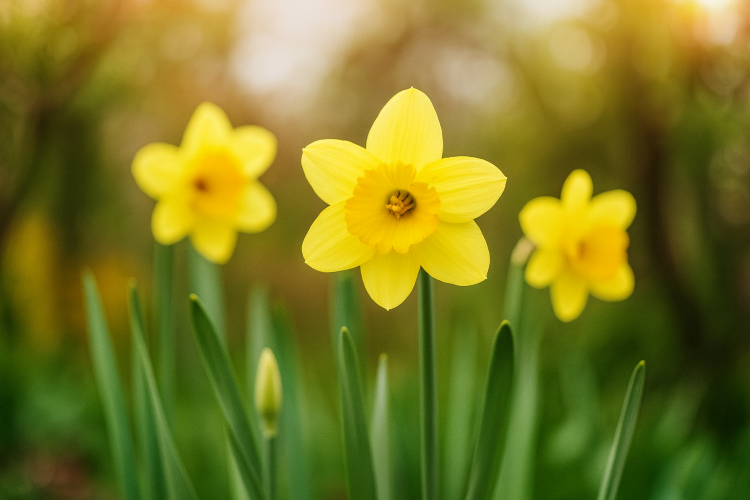 Источник: сгенерировано ИИ