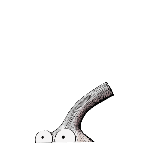 Чеснок - мощное анти паразитарное средство! Только вот и не всем он подойдёт, ибо много противопоказаний!