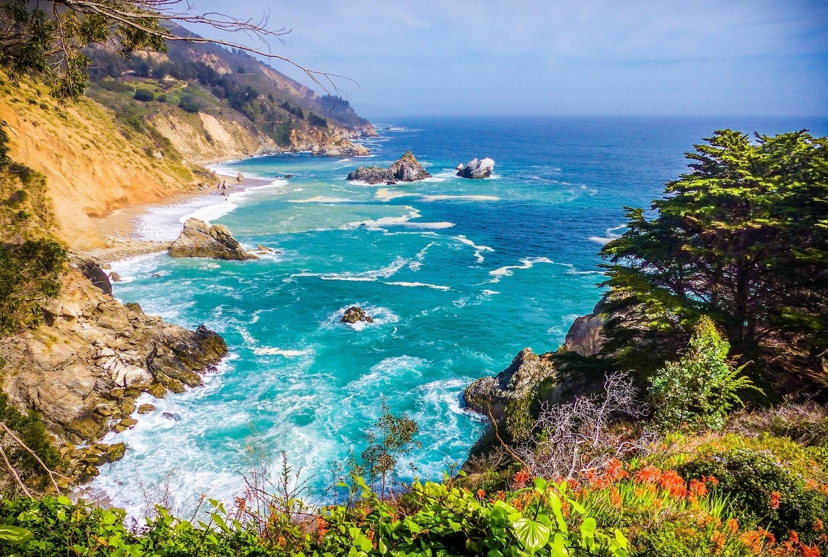 Картинка найдена на просторах интернета, ссылка https://yandex.ru/images/search?from=tabbar&img_url=https%3A%2F%2Fi.pinimg.com%2Foriginals%2Fa8%2F34%2F3f%2Fa8343f812879b5e7bd53274cf0591a19.jpg&lr=47&pos=15&rpt=simage&text=%D1%86%D0%B2%D0%B5%DЕ1%82%D1%8B%20%D0%BA%D1%80%D1%83%D0%BF%D0%BD%D0%BE%20%D1%84%D0%BE%D1%82%D0%BE