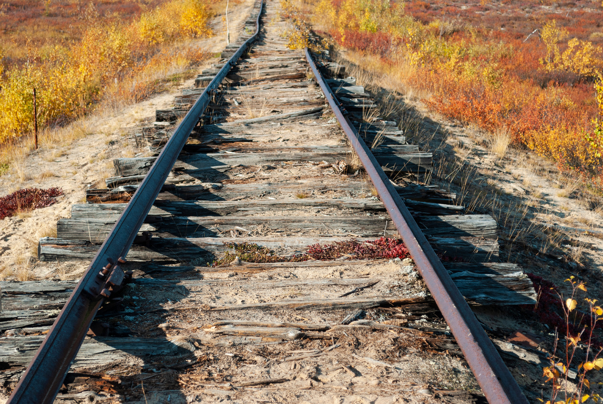 Фото: Dmitriy NDM/Shutterstock/Fotodom