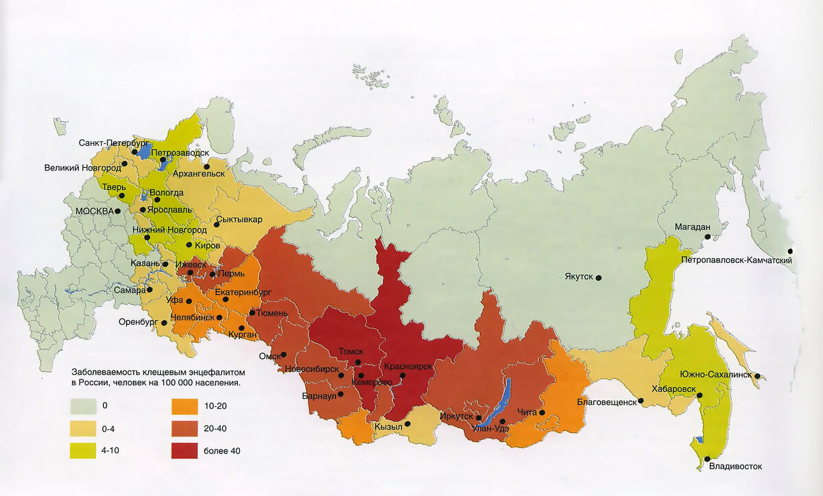Карта заболеваемости клещевым энцефалитом в России. Изображение: green-profi.ru