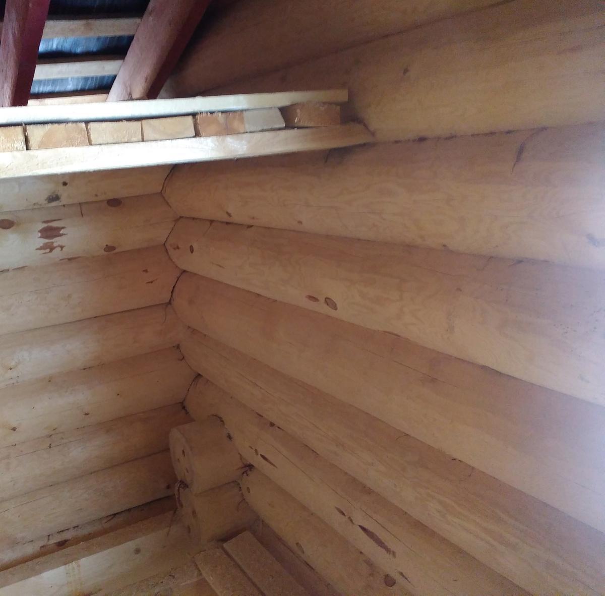 Окоренное бревно