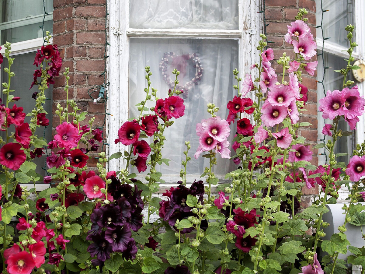 Фото: happymodern.ru