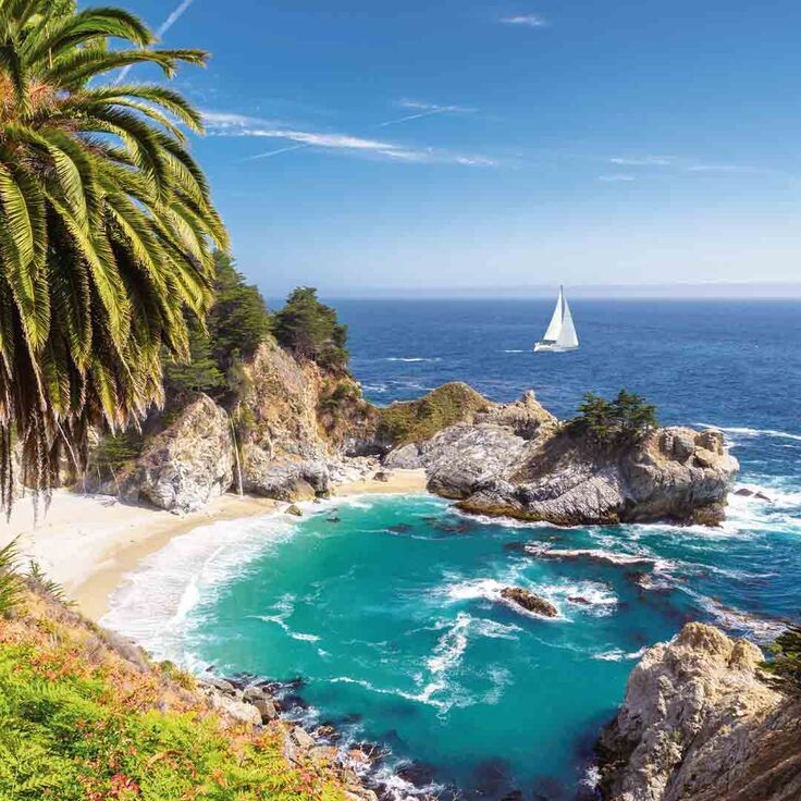 Картинка найдена на просторах интернета, ссылка https://yandex.ru/images/search?from=tabbar&img_url=https%3A%2Fi%2F.pinimg.com%2Foriginals%2Fa8%2F34%2Fа3f%2Fa83р43f81с28749b5e7bd53274cf0591a19.jpg&lr=47&pos=15&rpt=simage&text=%D1%86%D0%B2%D0%B5%D1%82%D1%8B%20%D0%BA%D1%80%D1%83%D0%BF%D0%BD%D0%BE%20%D1%84%D0%BE%D1%82%D0%BE