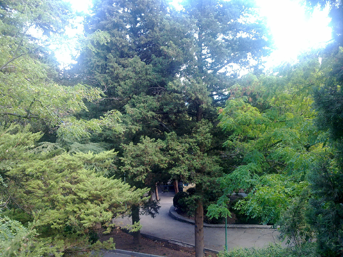 Гурзуф. Артек.