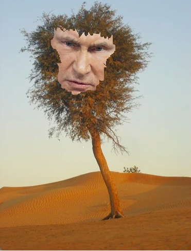 Соперников не видно тут