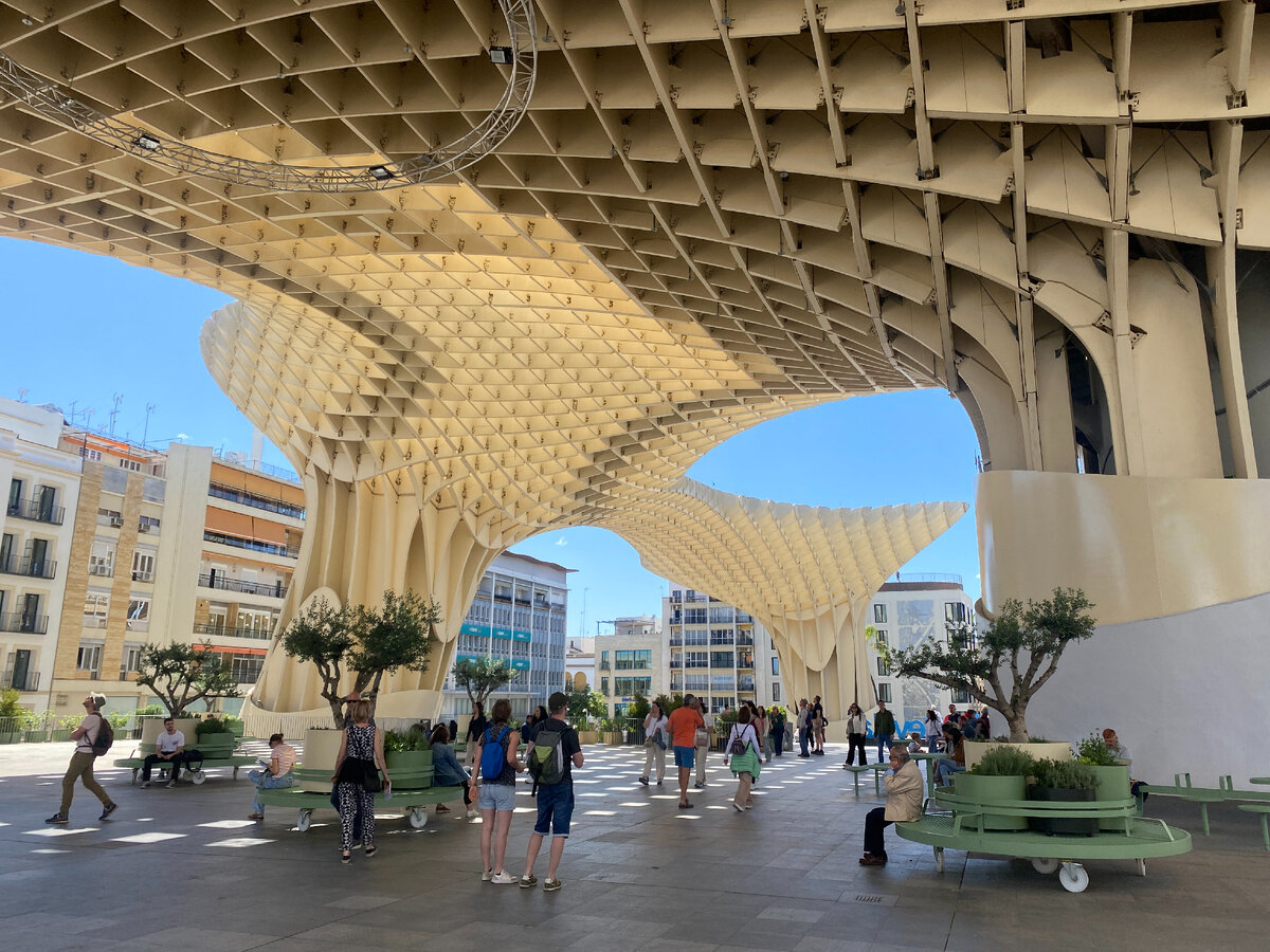 Metropol Parasol Sevilla (фото автора)
