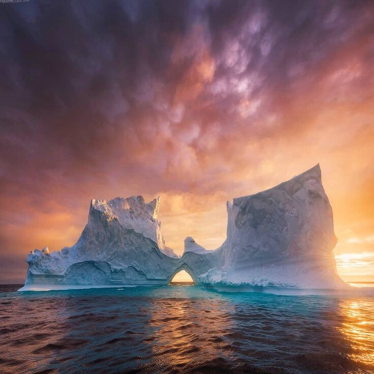 Картинка найдена на просторах интернета, ссылка https://yandex.ru/images/search?from=tabbar&img_url=https%3A%2Fi%2F.pinimg.com%2Foriginals%2Fa8%2F34%2Fа3f%2Fa83р43f81с28729b5e7bd53274cf0591a19.jpg&lr=47&pos=15&rpt=simage&text=%D1%86%D0%B2%D0%B5%D1%82%D1%8B%20%D0%BA%D1%80%D1%83%D0%BF%D0%BD%D0%BE%20%D1%84%D0%BE%D1%82%D0%BE