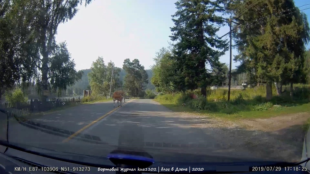 Скриншот с моего регистратора. Автор фотографии kua1102