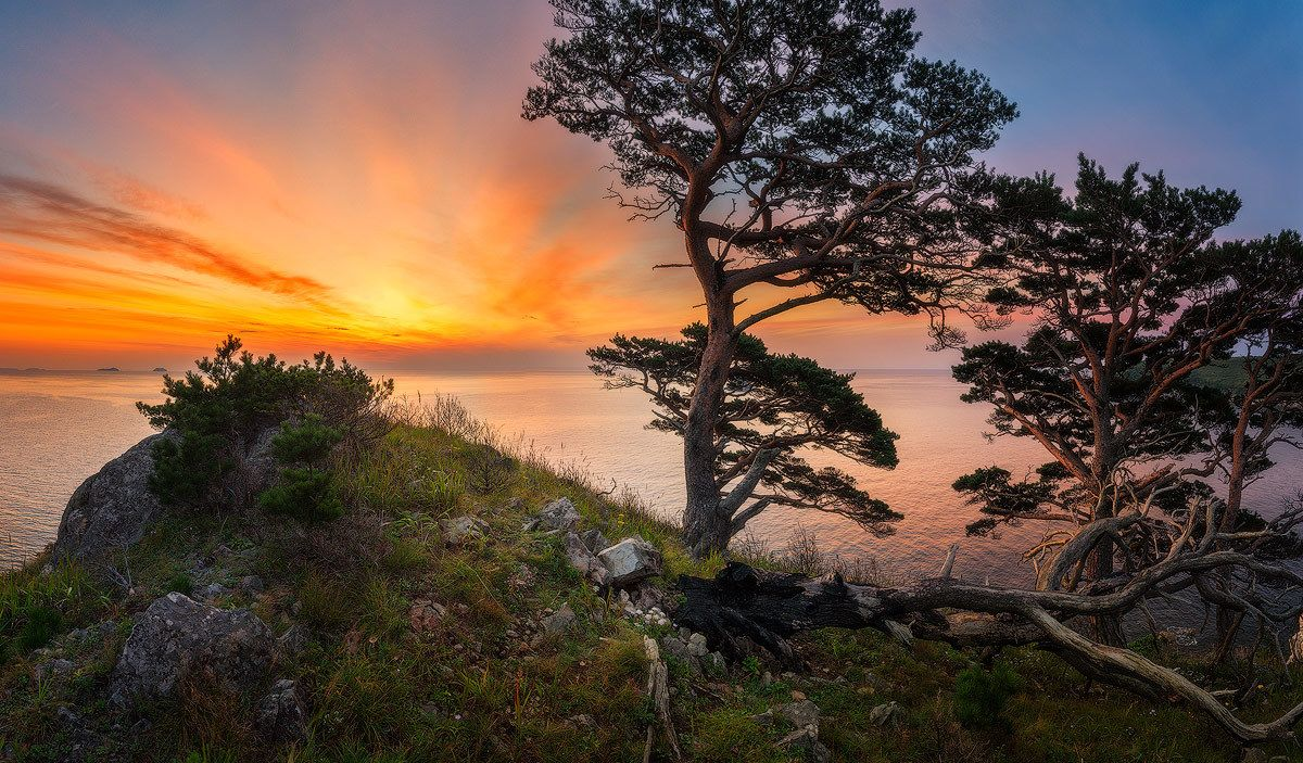 Картинка найдена на просторах интернета, ссылка: https://yandex.ru/images/search?from=tabbar&img_url=http%3A%2F%2Fi.pinimg.com%2Foriginals%2F28%2Fde%2Fbc%2F28debcdf775e97359584313f2ced1676.jpg&lr=103814&pos=28&rpt=simage&text=%D0%BF%D1%80%D0%B8%D0%BC%D0%BE%D1%80%D1%8C%D0%B5%20%D0%B2%D0%B8%D0%B4%D1%8B%20%D0%BF%D1%80%D0%B8%D1%80%D0%BE%D0%B4%D1%8B%20%D1%84%D0%BE%D1%82%D0%BE