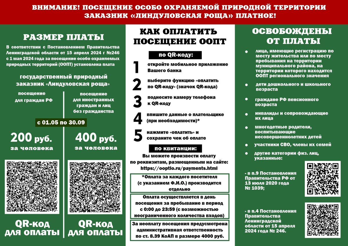 Линдуловская роща: как добраться и стоит ли ехать | Другие места | Дзен