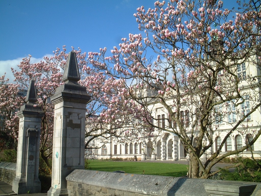 Cardiff University, Университет Кардиффа 