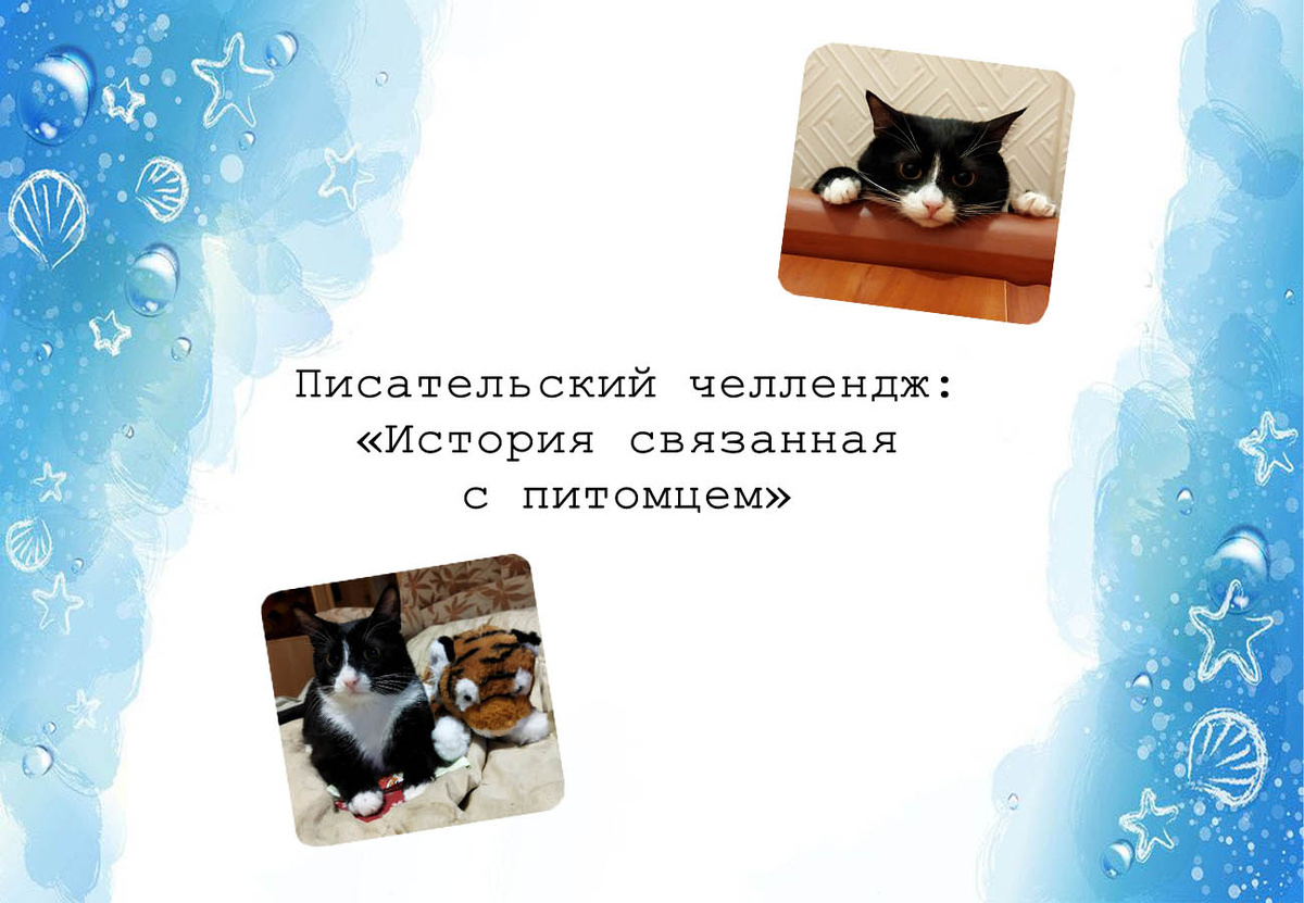 Фото из открытых источников