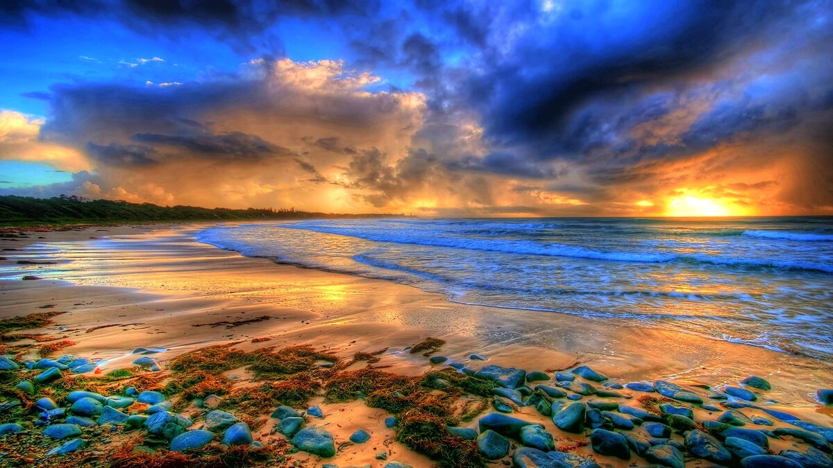 Картинка найдена на просторах интернета, ссылка https://yandex.ru/images/search?from=tabbar&img_url=https%3A%2F%2Fi.pinimg.com%2Foriginals%2Fa8%2F34%2F3f%2Fa8343f8128с79b5e7bd53274cf0591a19.jpg&lr=47&pos=15&rpt=simage&text=%D1%86%D0%B2%D0%B5%D1%82%D1%8B%20%D0%BA%D1%80%D1%83%D0%BF%D0%BD%D0%BE%20%D1%84%D0%BE%D1%82%D0%BE