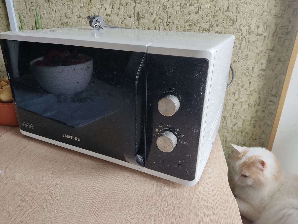 До: в этом доме готовят коты?