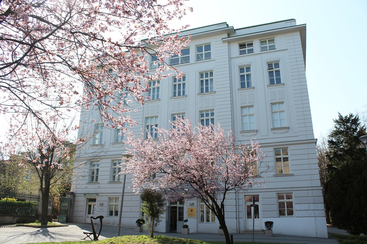 Amadeus International School Vienna, Амадеус Вена частная школа
