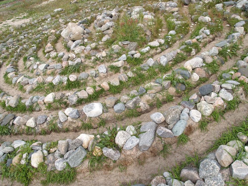 Фото: Irina Borsuchenko / Shutterstock / Fotodom