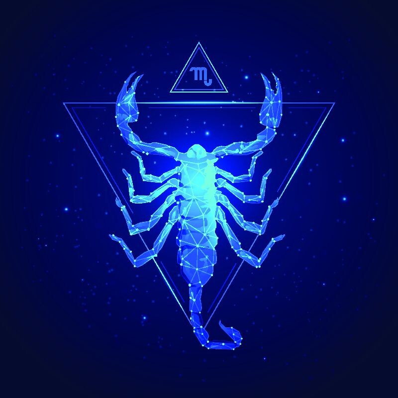 Фото: Jackie Niam/Shutterstock/Fotodom