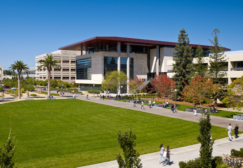 Stanford University, Стэнфордский университет