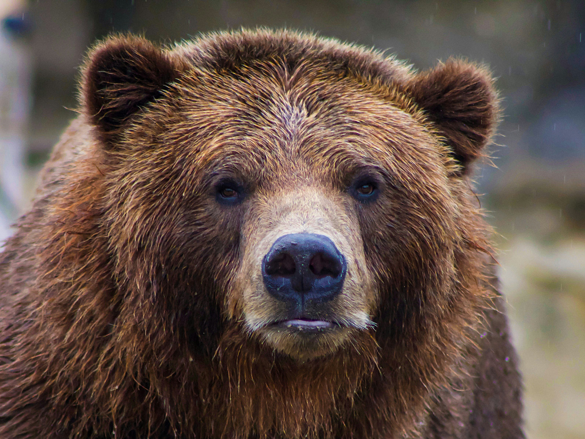 Фотография: Becca, Unsplash