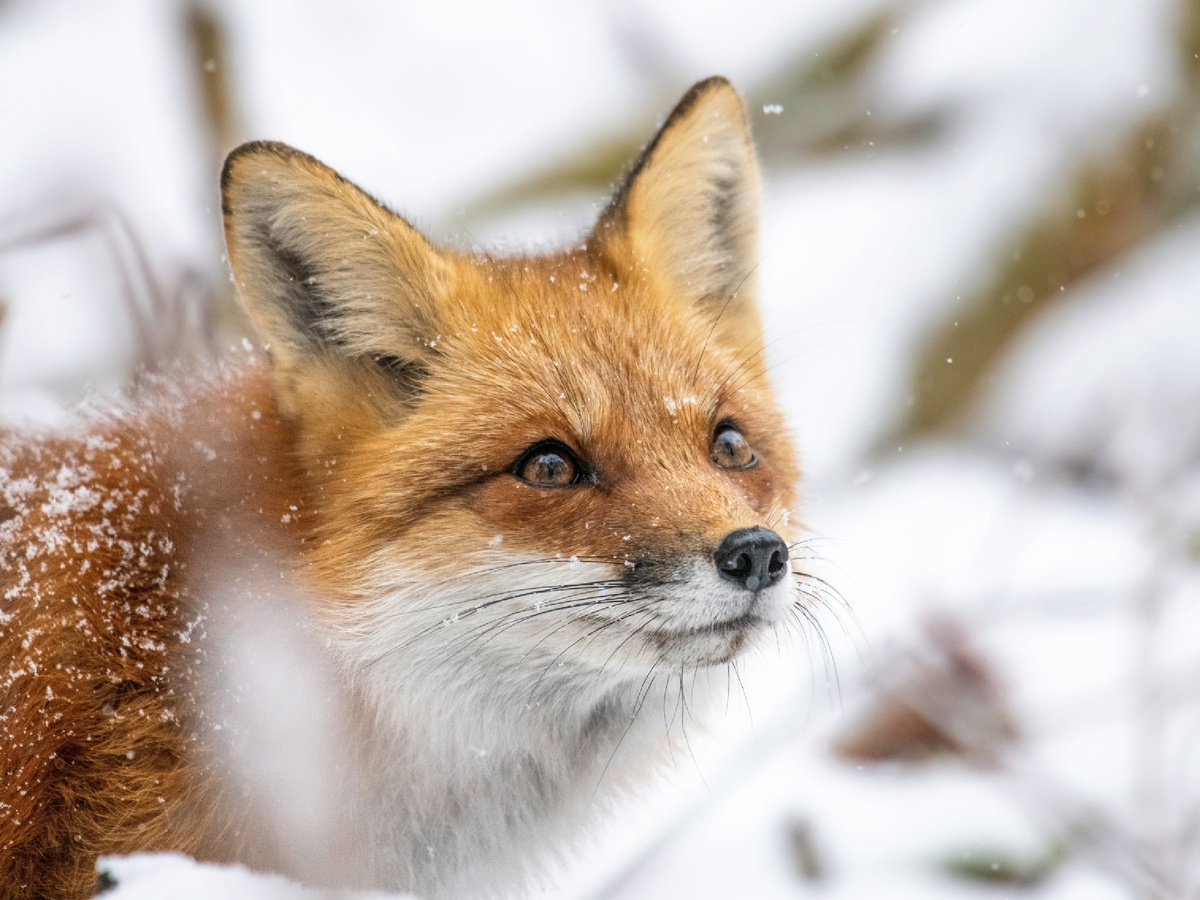 Jeremy Hynes, Unsplash