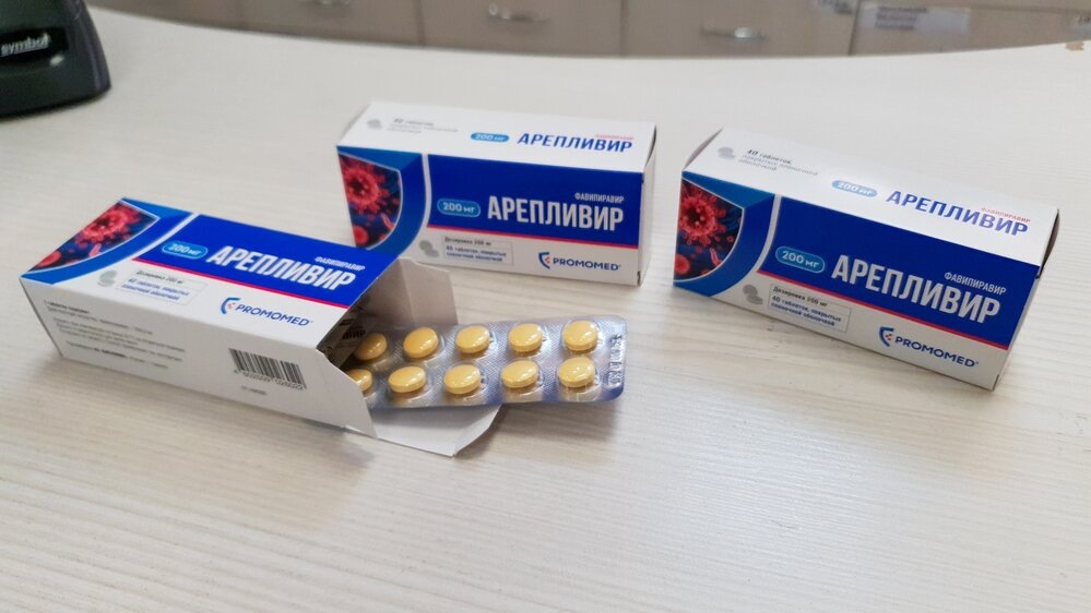 Фото: Денис Воронин / Агентство «Москва»