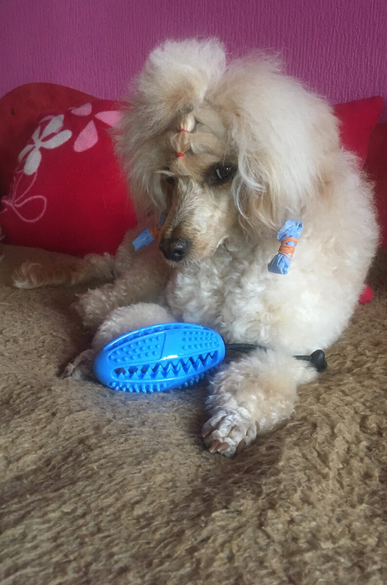 Фото из личного архива автора.